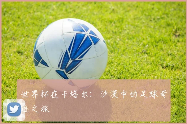 世界杯在卡塔尔：沙漠中的足球奇迹之旅