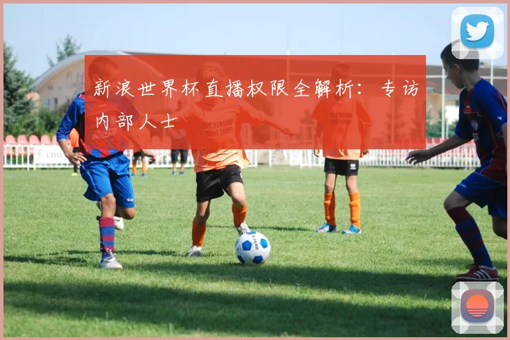 新浪世界杯直播权限全解析：专访内部人士