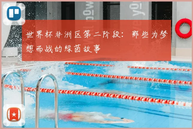 世界杯非洲区第二阶段：那些为梦想而战的绿茵故事