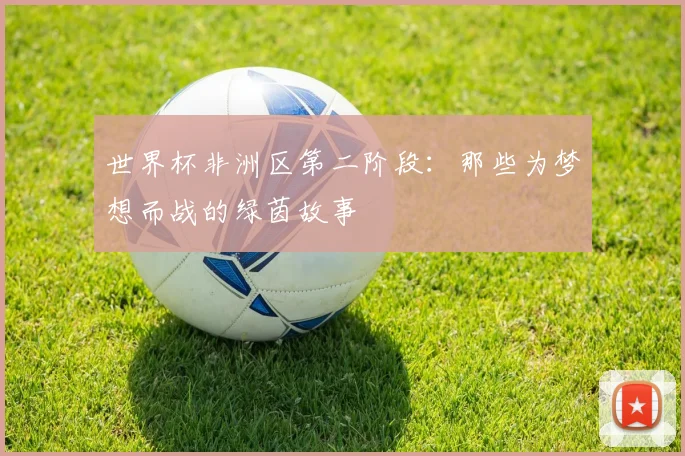 世界杯非洲区第二阶段:那些为梦想而战的绿茵故事